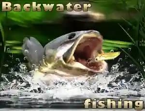Backwater Fishing cover