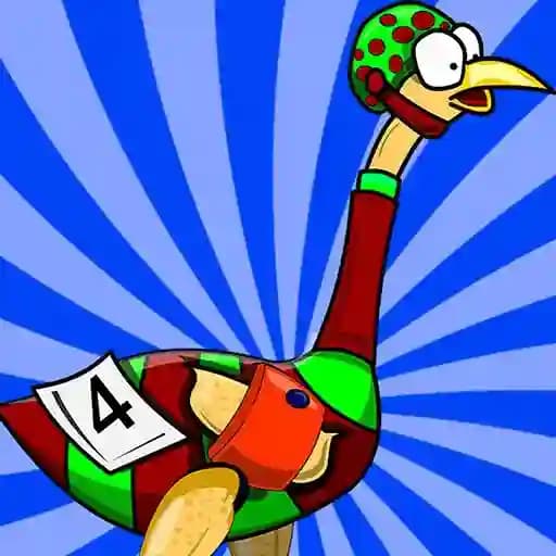 Big Bird Racing cover