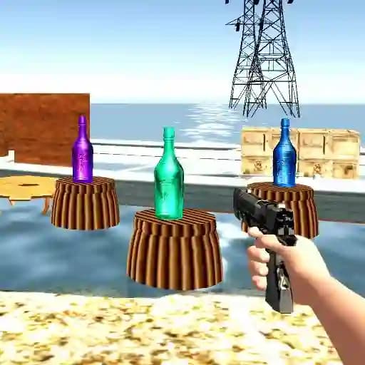 Bottle Shooting cover