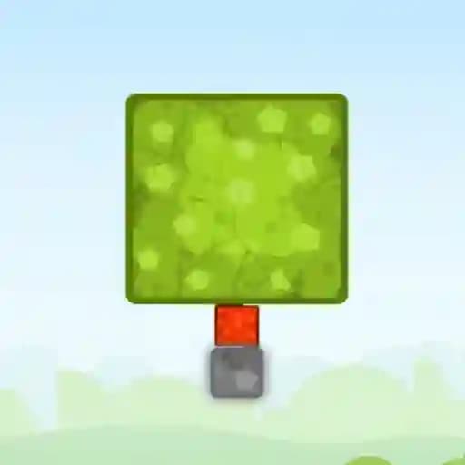 Boxes Physic cover