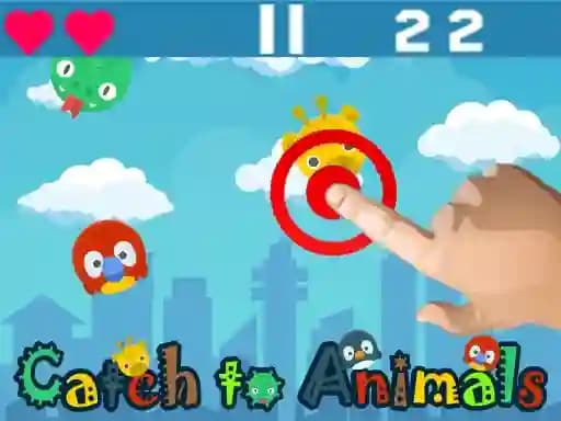 Catch to Animals cover