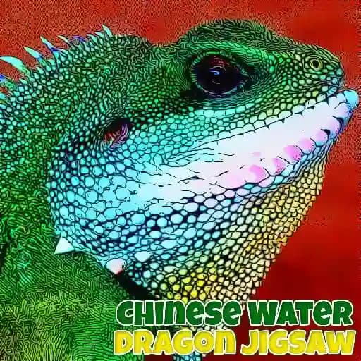 Chinese Water Dragon Jigsaw cover