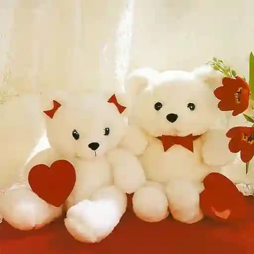 Cute Teddy Bears Slide cover