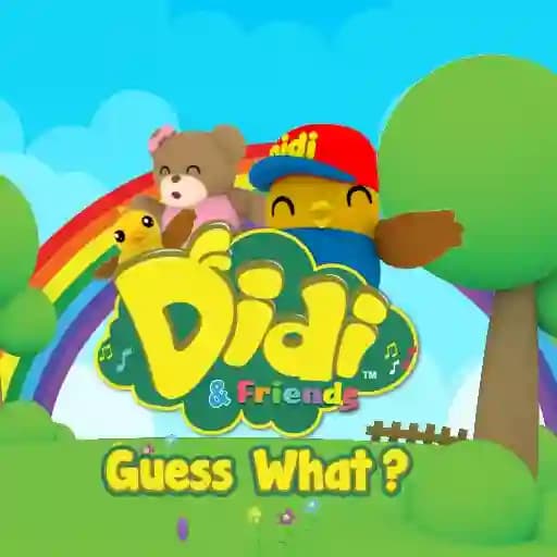 Didi & Friends Guess What cover