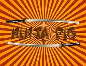 NinjaPig cover