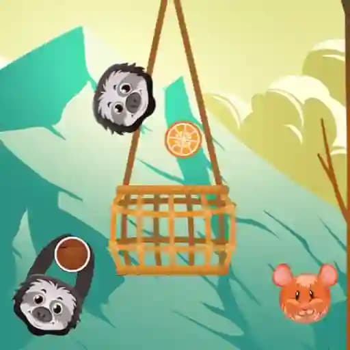 Slings to the Basket cover