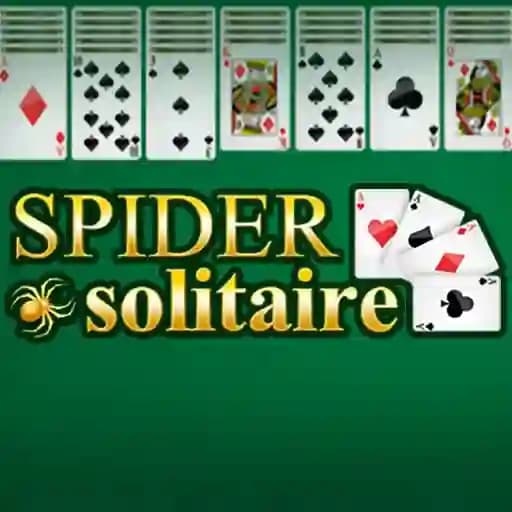 Spider Solitaire cover