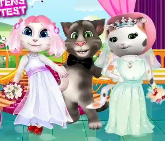 White Kittens Bride Contest cover