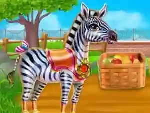 Zebra Caring cover